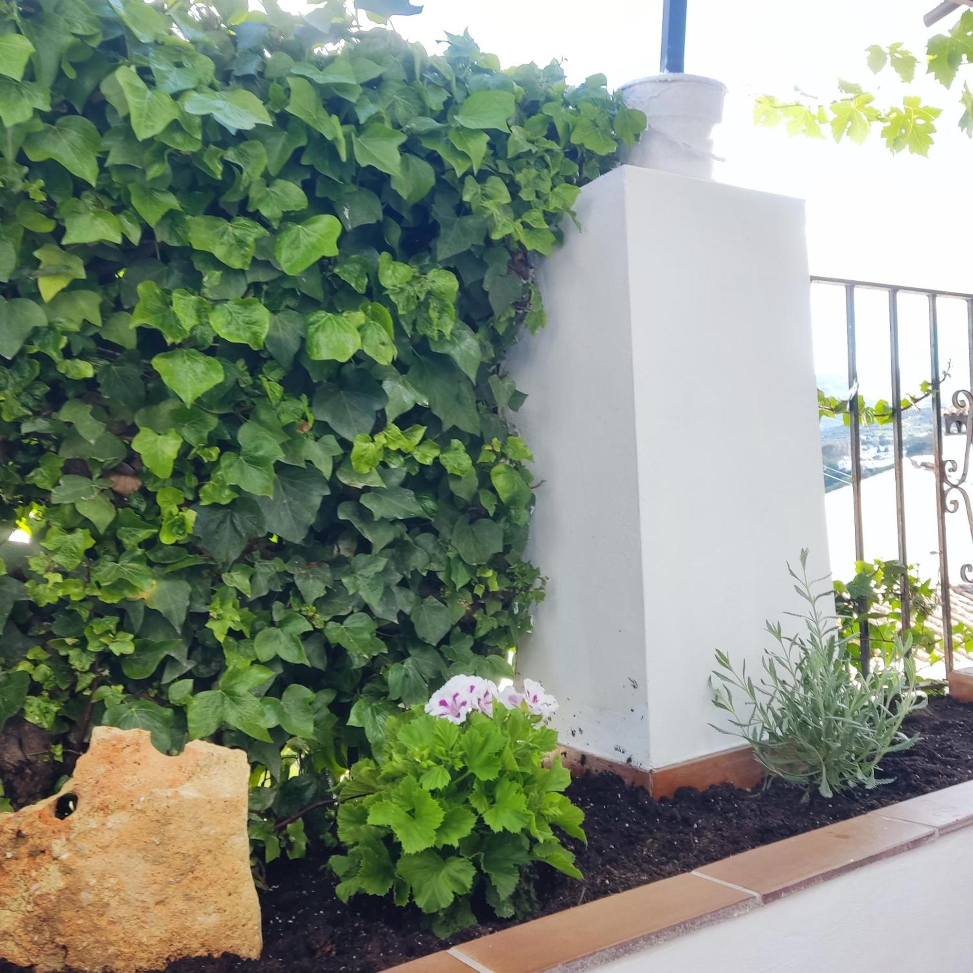 La Casita De La Parra Ronda